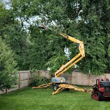 Leaf Removal in Ashton, ID